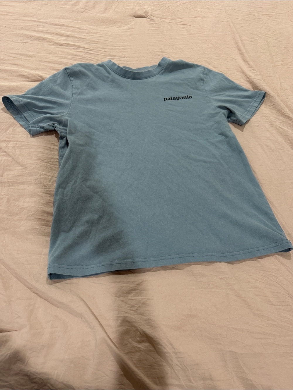 Patagonia KShort-Sleeve Tee in Blue with Chest Logo size medium